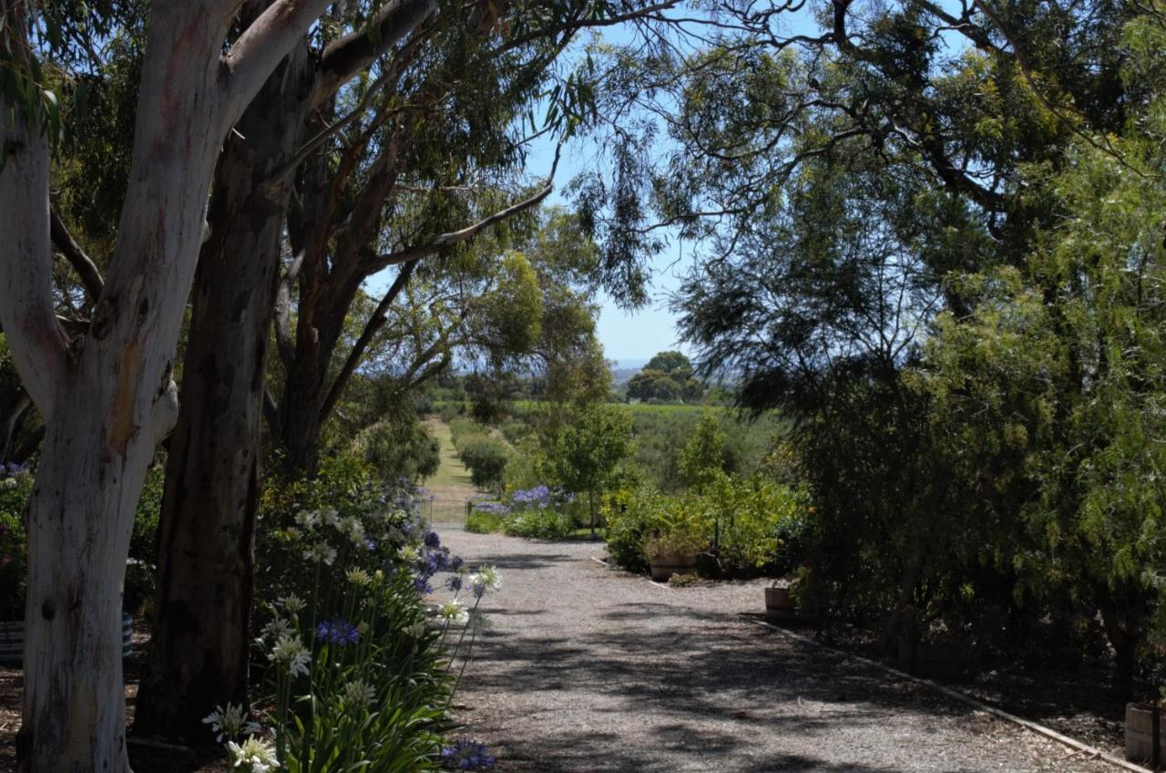The Farm Willunga Bed & Breakfast Eksteriør bilde