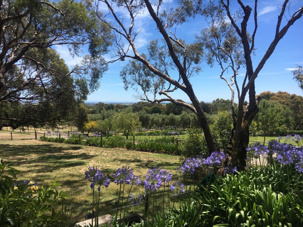 The Farm Willunga Bed & Breakfast Eksteriør bilde
