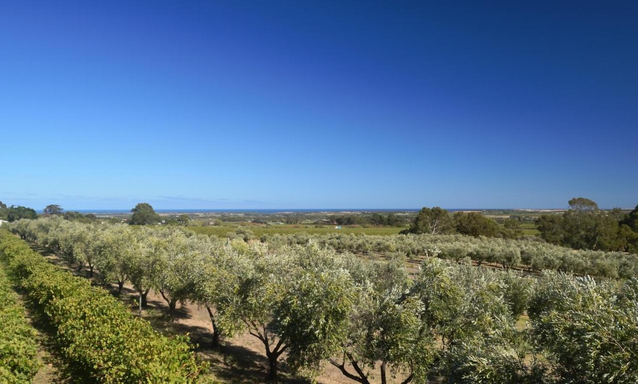 The Farm Willunga Bed & Breakfast Eksteriør bilde