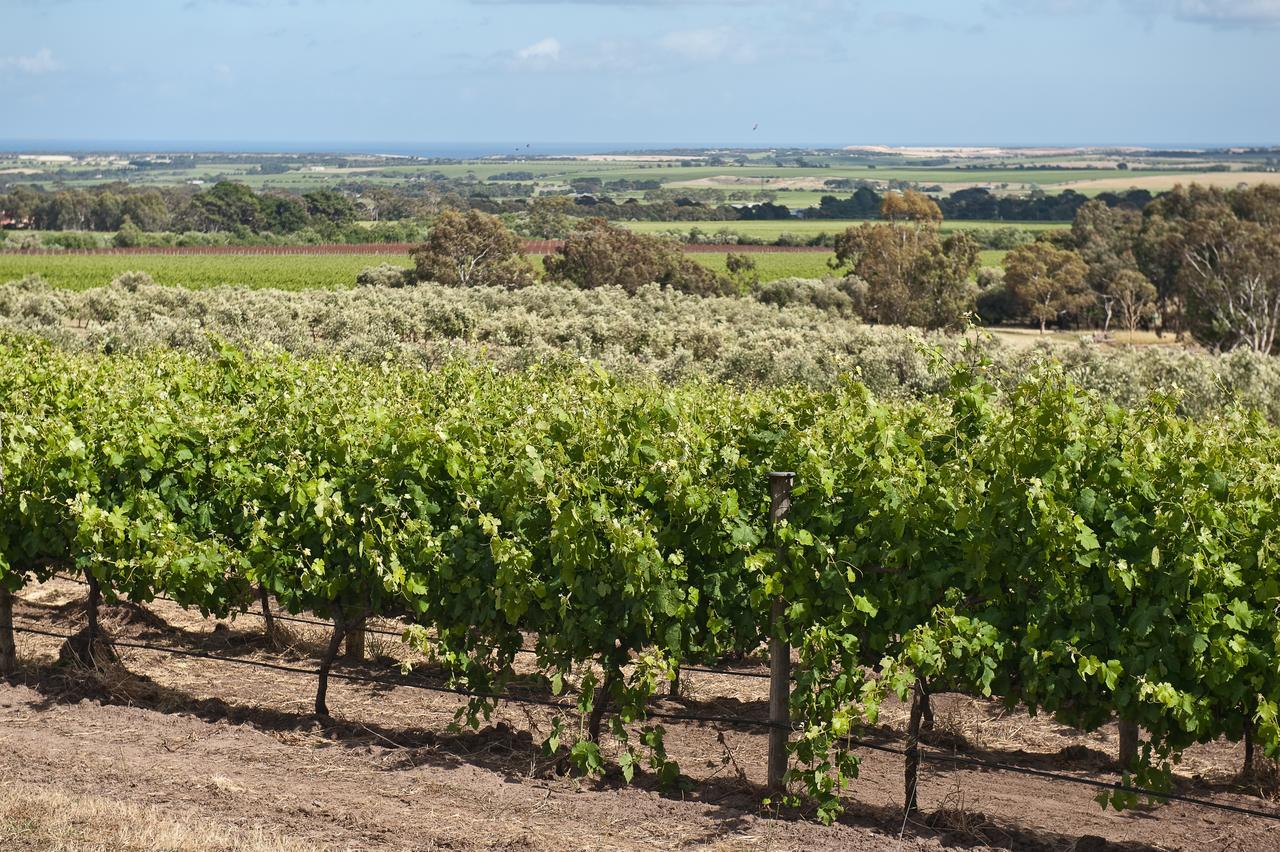 The Farm Willunga Bed & Breakfast Eksteriør bilde