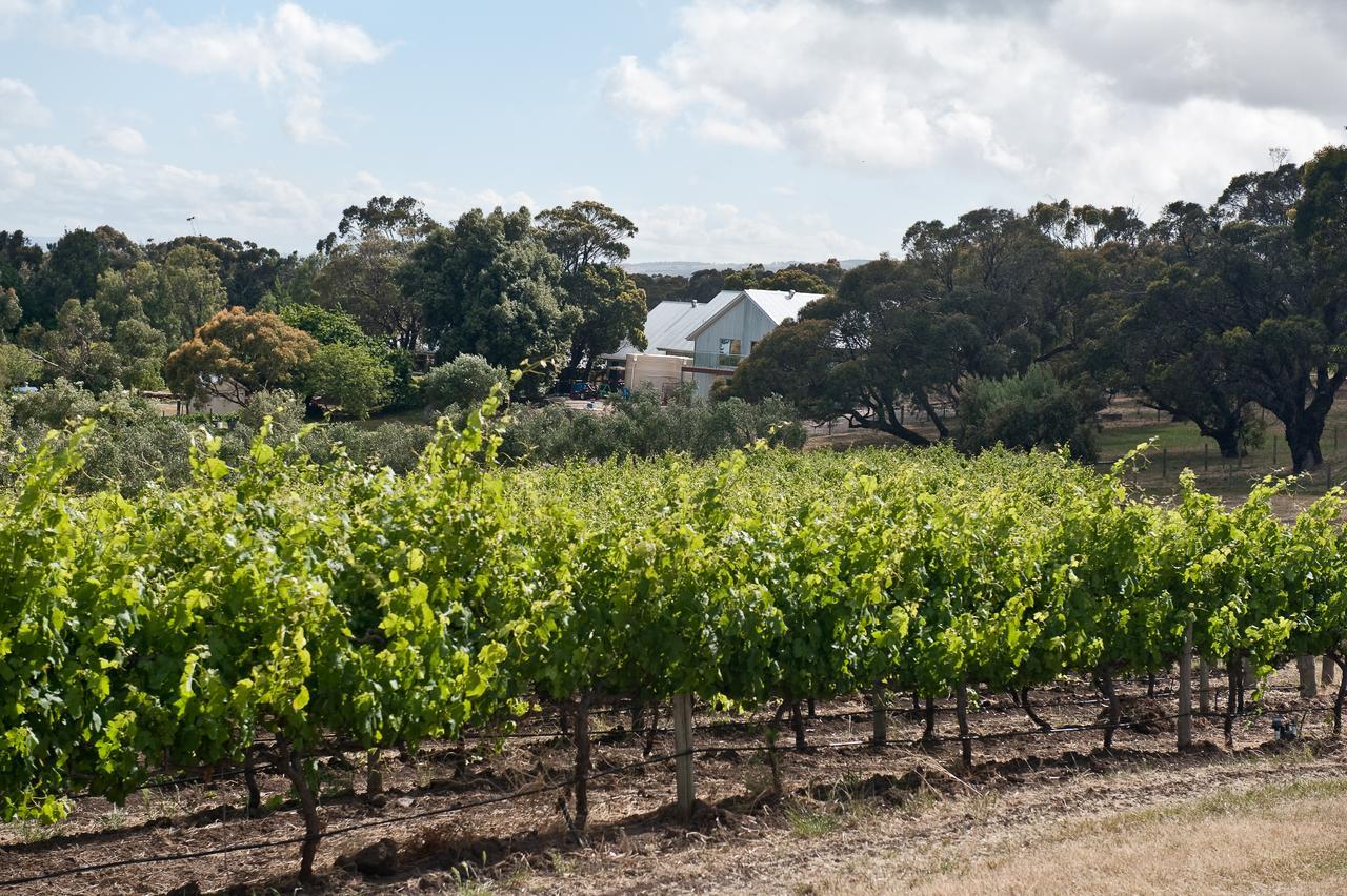 The Farm Willunga Bed & Breakfast Eksteriør bilde