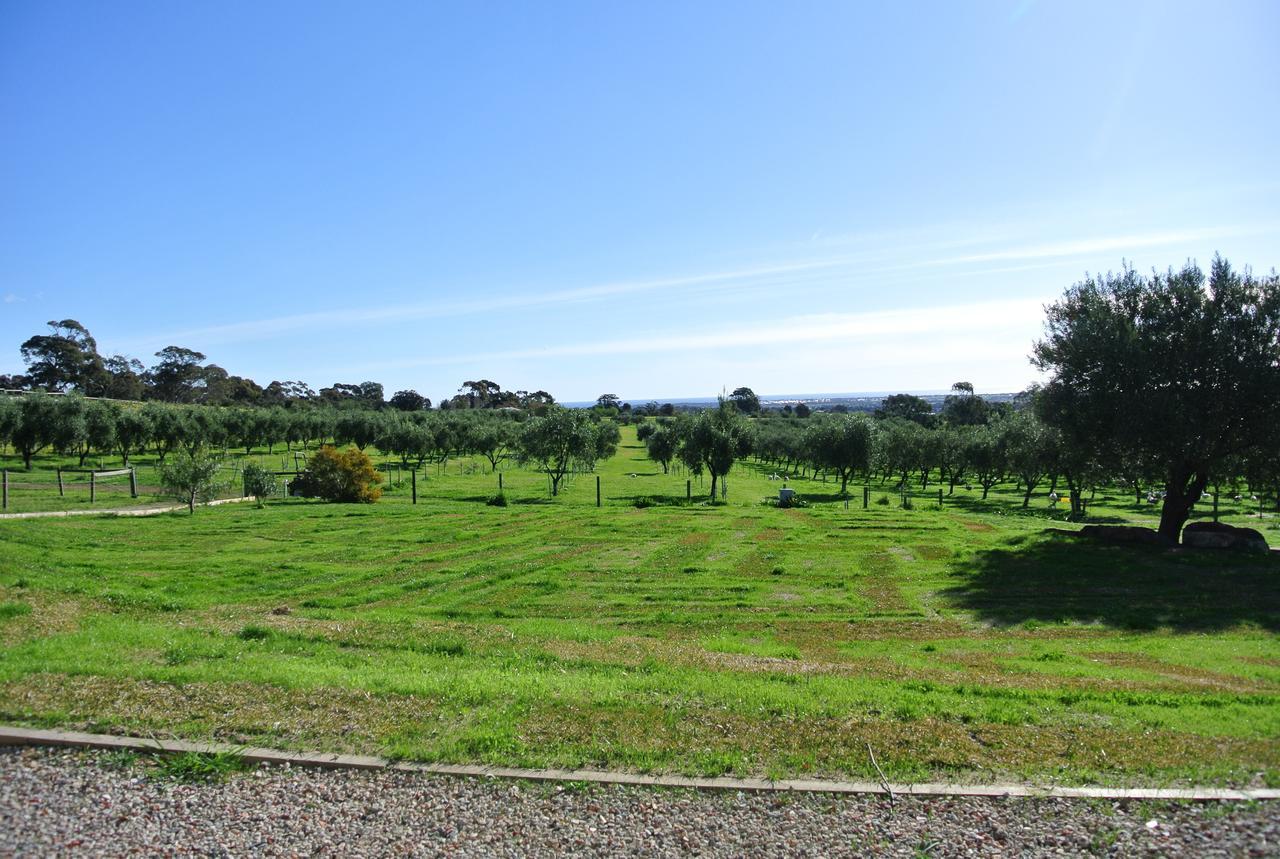 The Farm Willunga Bed & Breakfast Eksteriør bilde